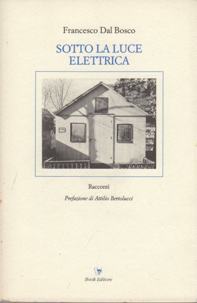 Sotto la luce elettrica.