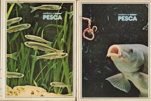 Andare a pesca.
