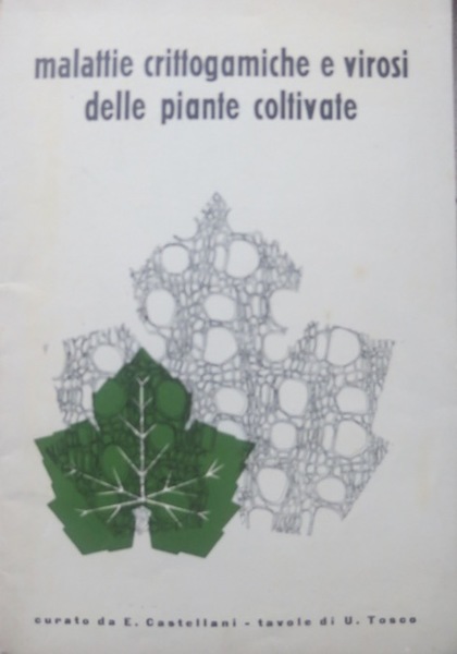 Malattie crittogamiche e virosi delle piante coltivate.