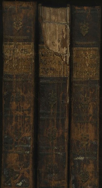 Succinte vite di cento rinomati, e celebri personaggi illustrate con …