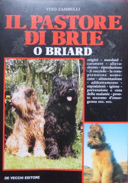 Pastore di Brie o Briard.