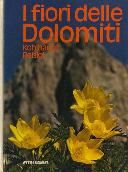 I fiori delle Dolomiti.