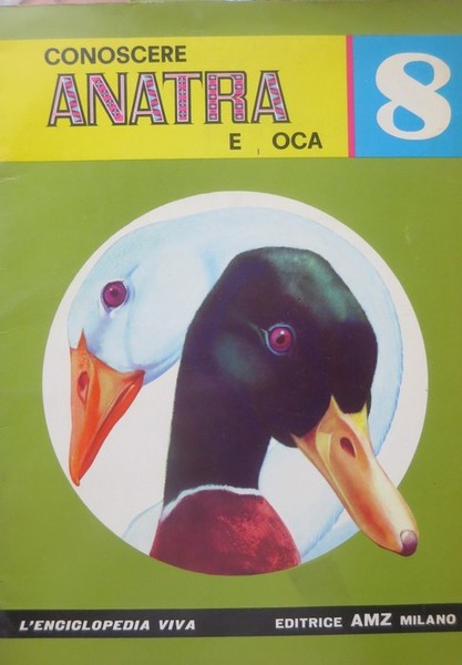 Conoscere anatra e oca.