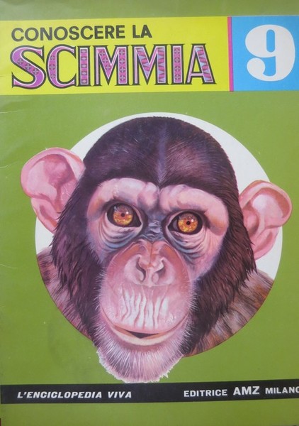 Conoscere la scimmia.