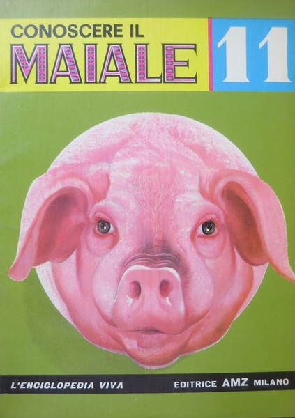 Conoscere il maiale.