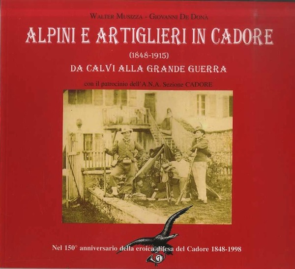 Alpini e artiglieri in Cadore, 1848-1915: da Calvi alla grande …