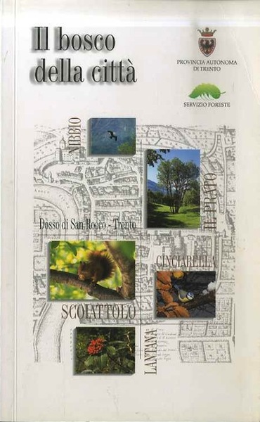 Il bosco della cittÃ : Dosso di San Rocco, Trento.