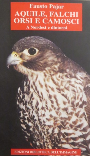 Aquile, falchi orsi e camosci: a Nordest e dintorni.