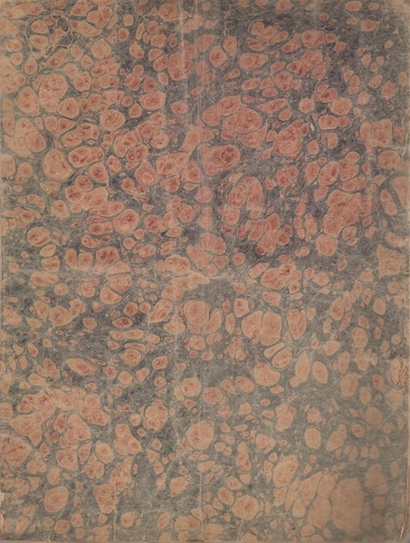 Statuto della cittÃ di Trento dei 29 marzo 1851: colle …