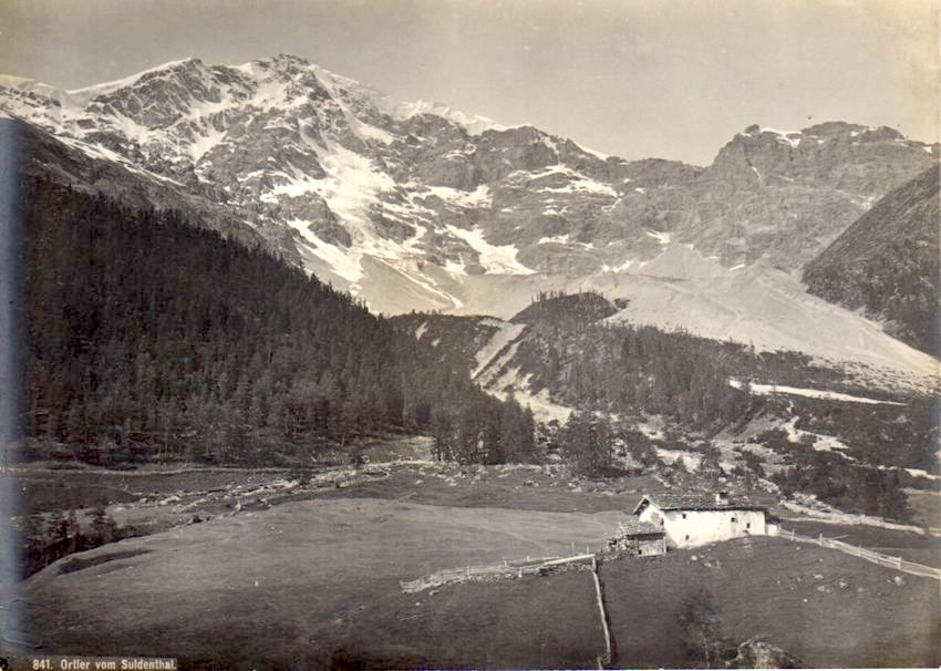 841. Ortler vom Suldenthal.