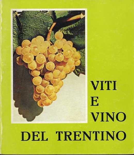 Vent'anni di attivitÃ della Confraternita della vite e del vino …