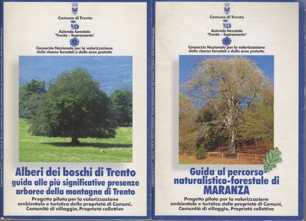 Alberi dei boschi di Trento: guida alle piÃ¹ significative presenze …