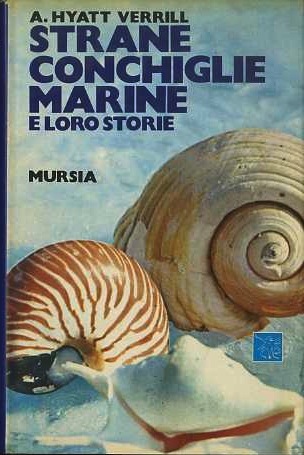 Strane conchiglie marine e le loro storie.