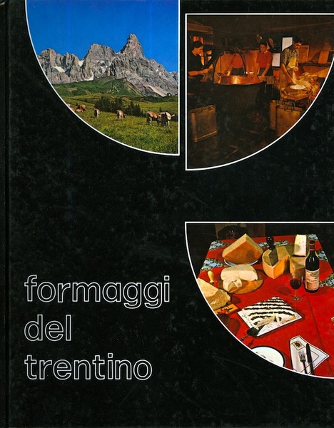 Formaggi del Trentino.
