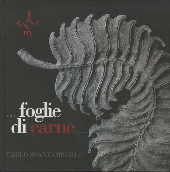.Foglie di carne.