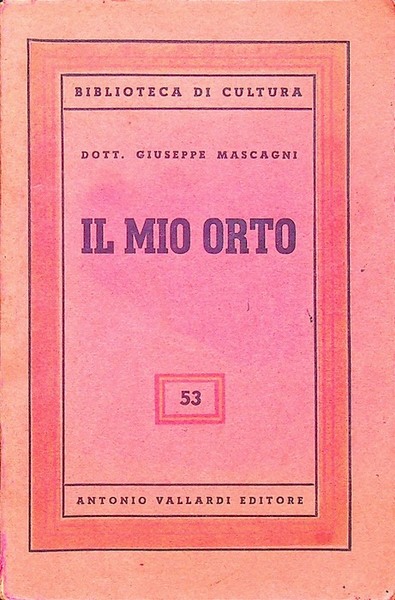 Il mio orto.