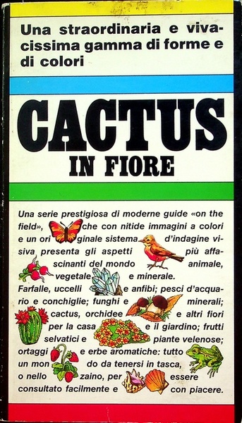 Cactus in fiore.