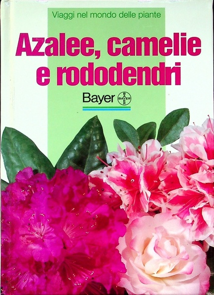 Azalee, camelie e rododendri.
