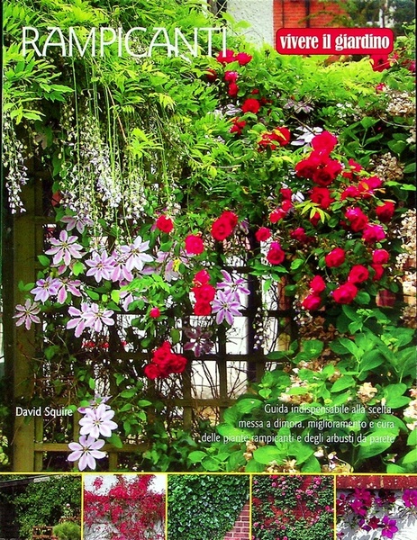 Rampicanti: guida indispensabile alla scelta, messa a dimora, miglioramento e …