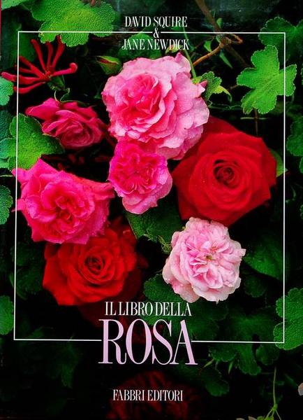 Il libro della rosa.
