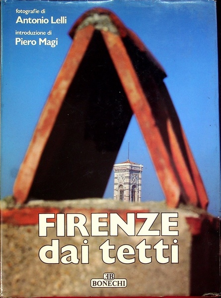 Firenze dai tetti.