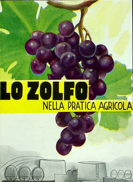 Lo zolfo nella pratica agricola: Montecatini.