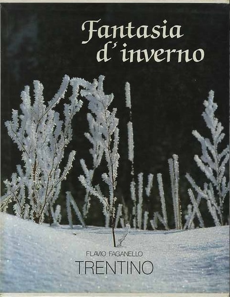 Trentino: fantasia d'inverno.