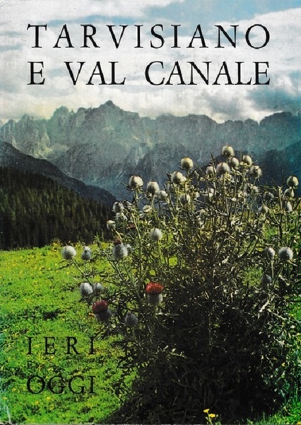 Tarvisiano e Val Canale ieri e oggi.