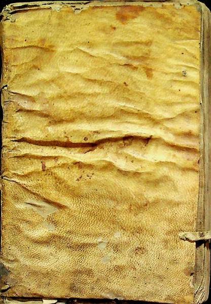 Institutionum Florentinae linguae libri duo Euphrosyni Lapinij.