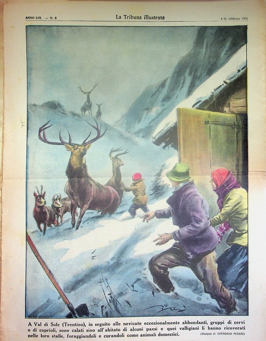 A Val di Sole (Trentino) in seguito alle nevicate eccezionalmente …