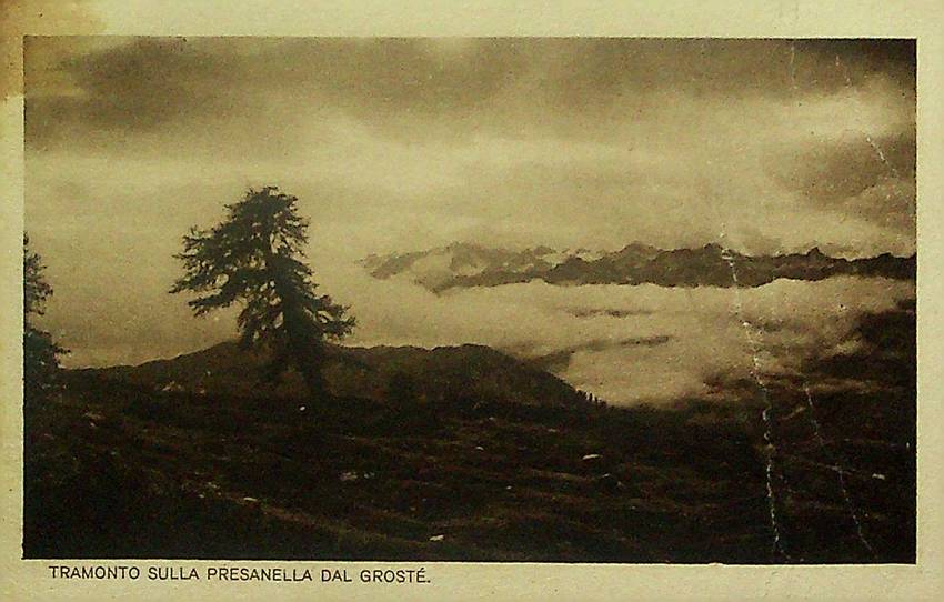 Alpi tridentine: Dolomiti di Brenta: Tramonto sulla Presanella dal Grostè.