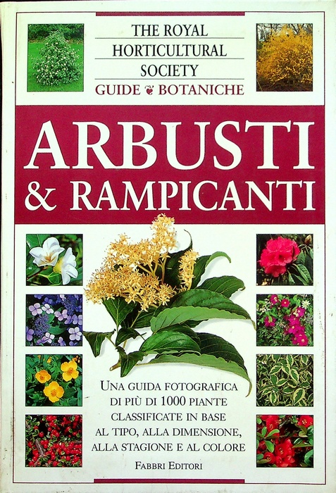 Arbusti & rampicanti.