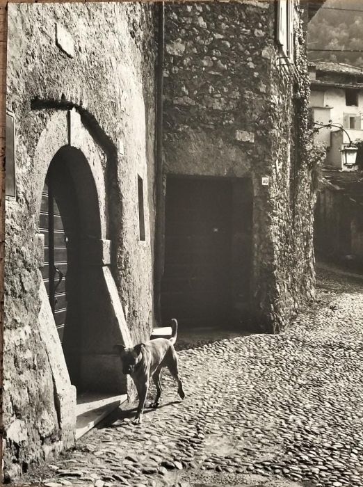 ARCO: Stranfor.