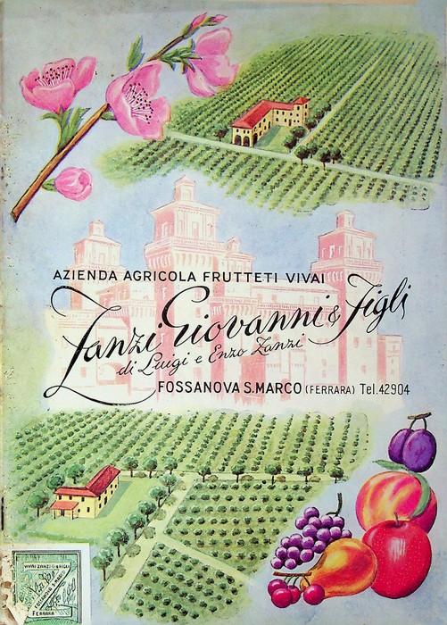 Azienda agricola frutteti vivai: Zanzi Giovanni & Figli: Fossanova S, …