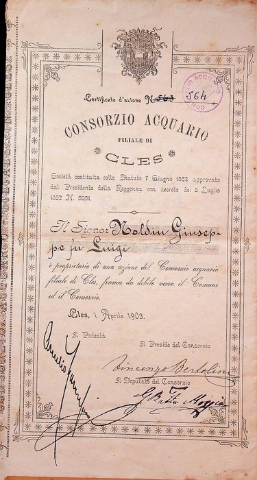 Certificato d'azione: Consorzio acquario: filiale di Cles.