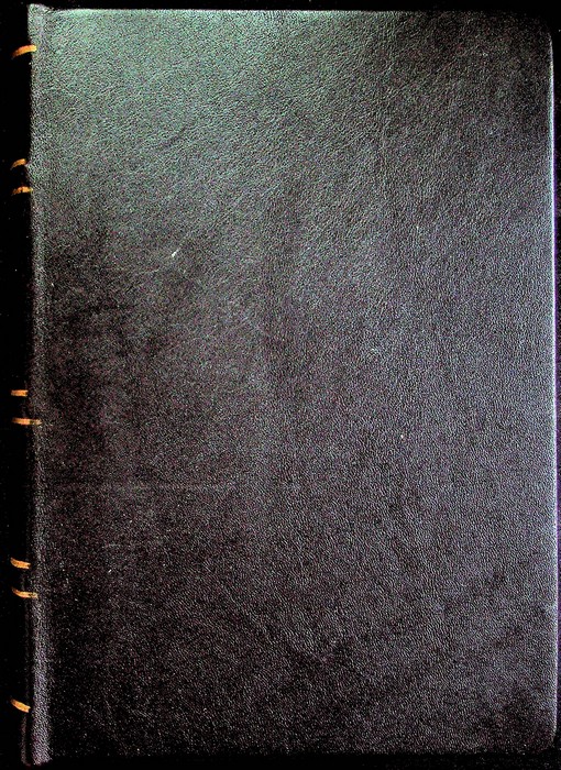 Commentari della storia trentina: volume primo.