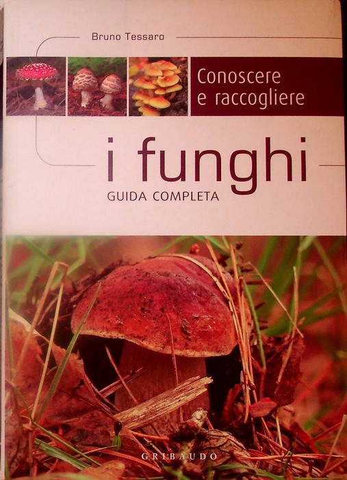 Conoscere e raccogliere i funghi: guida completa.