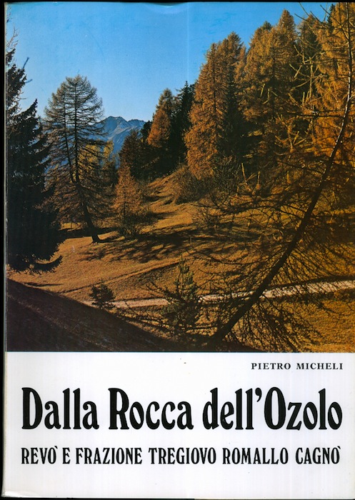 Dalla Rocca dell'Ozolo: RevÃ² e frazione di Tregiovo, Romallo, CagnÃ²; …