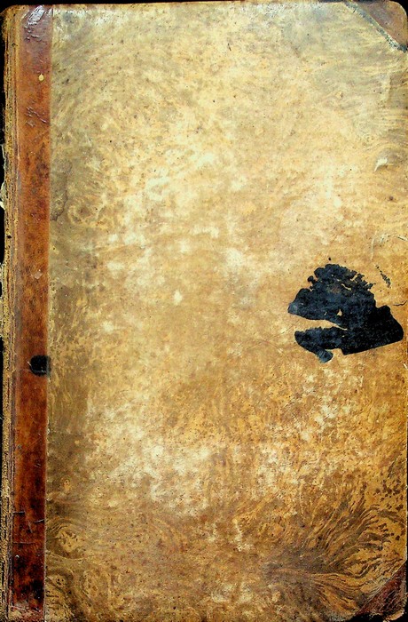 Del diritto personale delle cose.