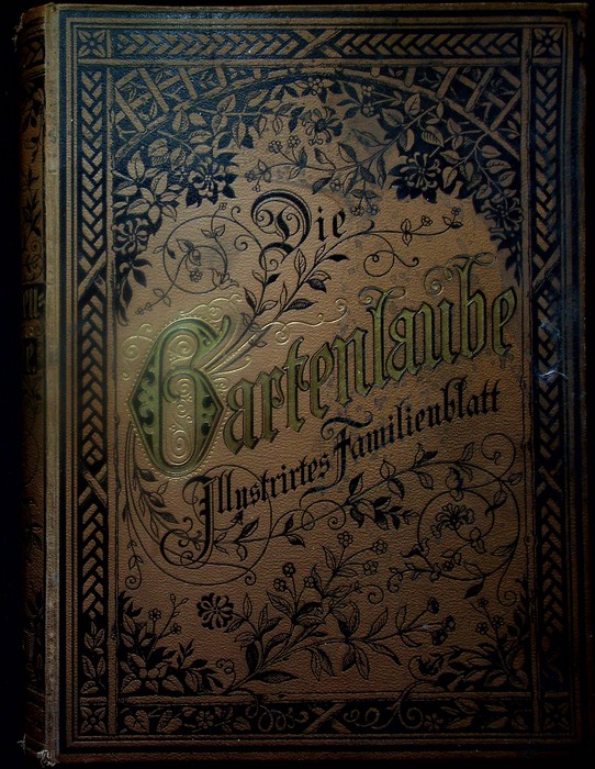 Die Gartenlaube: Illustriertes Familienblatt. Jahrgang 1899. Komplett.