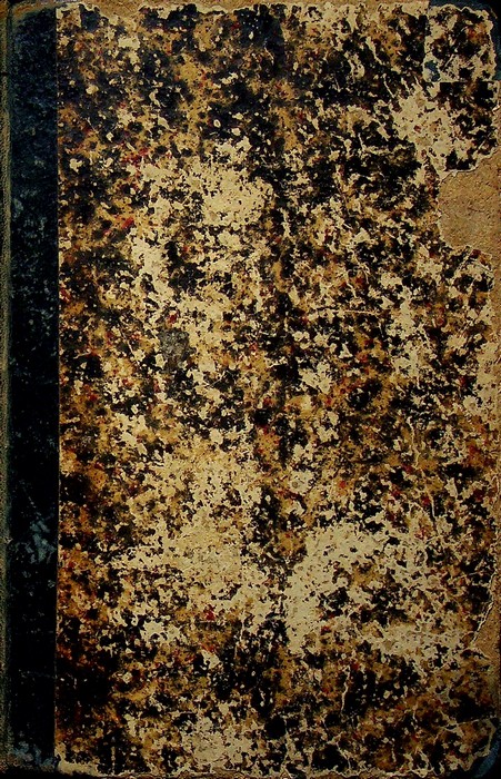 Dizionario manuale della lingua greca: II. Italiano-greco.