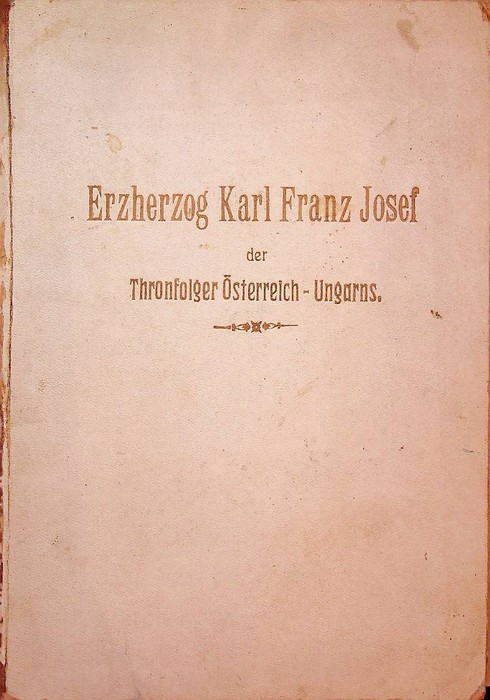 Erzherzog Karl Franz Josef der Thronfolger Ã–sterreich-Ungarns: nach authentischen Quellen.