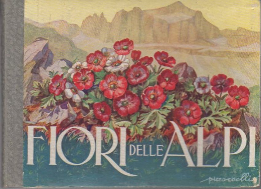 Fiori delle Alpi.