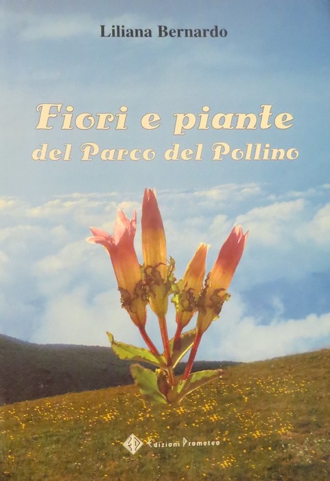 Fiori e piante del Parco del Pollino.