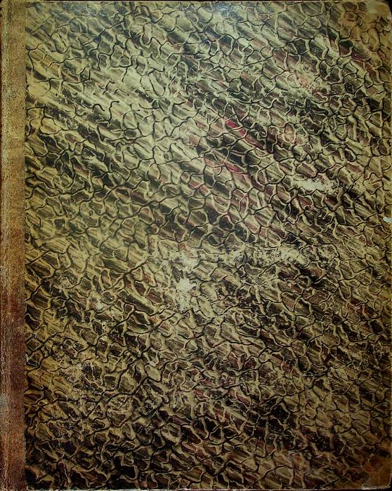 Giornale di giurisprudenza pratica: anno duodecimo: III. della Serie III.