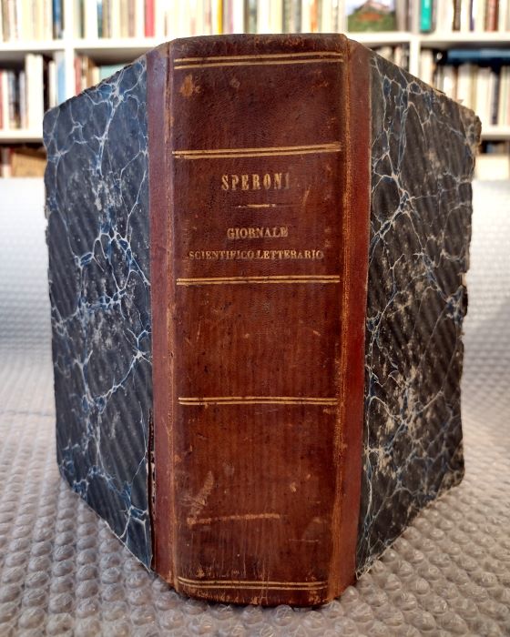 Giornale scientifico-letterario pubblicato in Perugia sotto la direzione del Dott. …