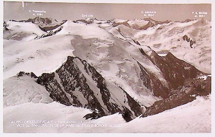 Gruppo Ortles-Cevedale panorama da C. Cevedale. Vioz (m.3644) Palon de …