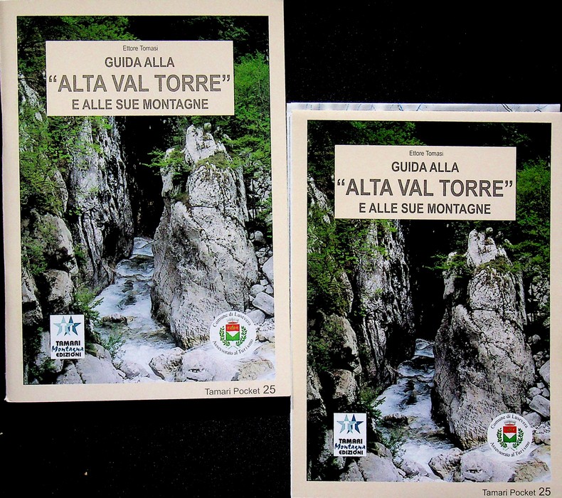 Guida alla "Alta val Torre"e alle sue montagne.