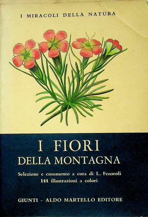 I fiori della montagna.