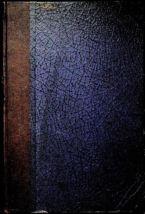 I Franchi Muratori del Trentino.